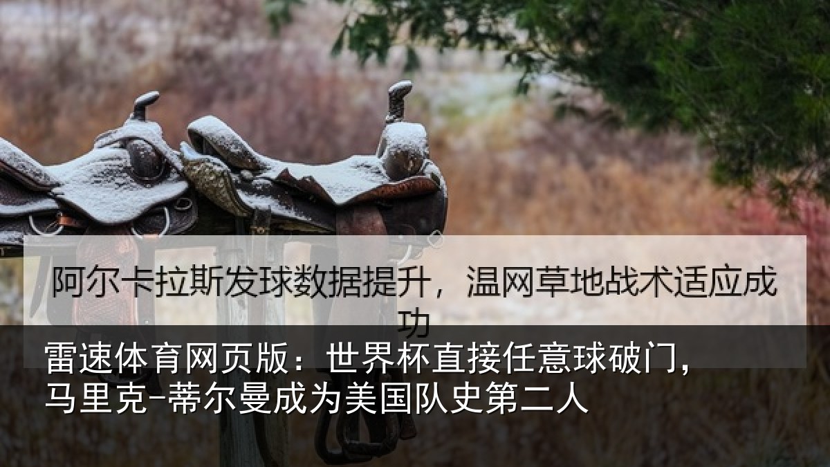 雷速体育网页版:世界相关情况,马里相关情况队史第二人